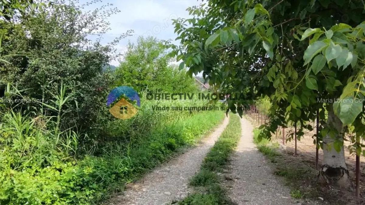 Teren intravilan com. Alexandru cel Bun- Viisoara - 13