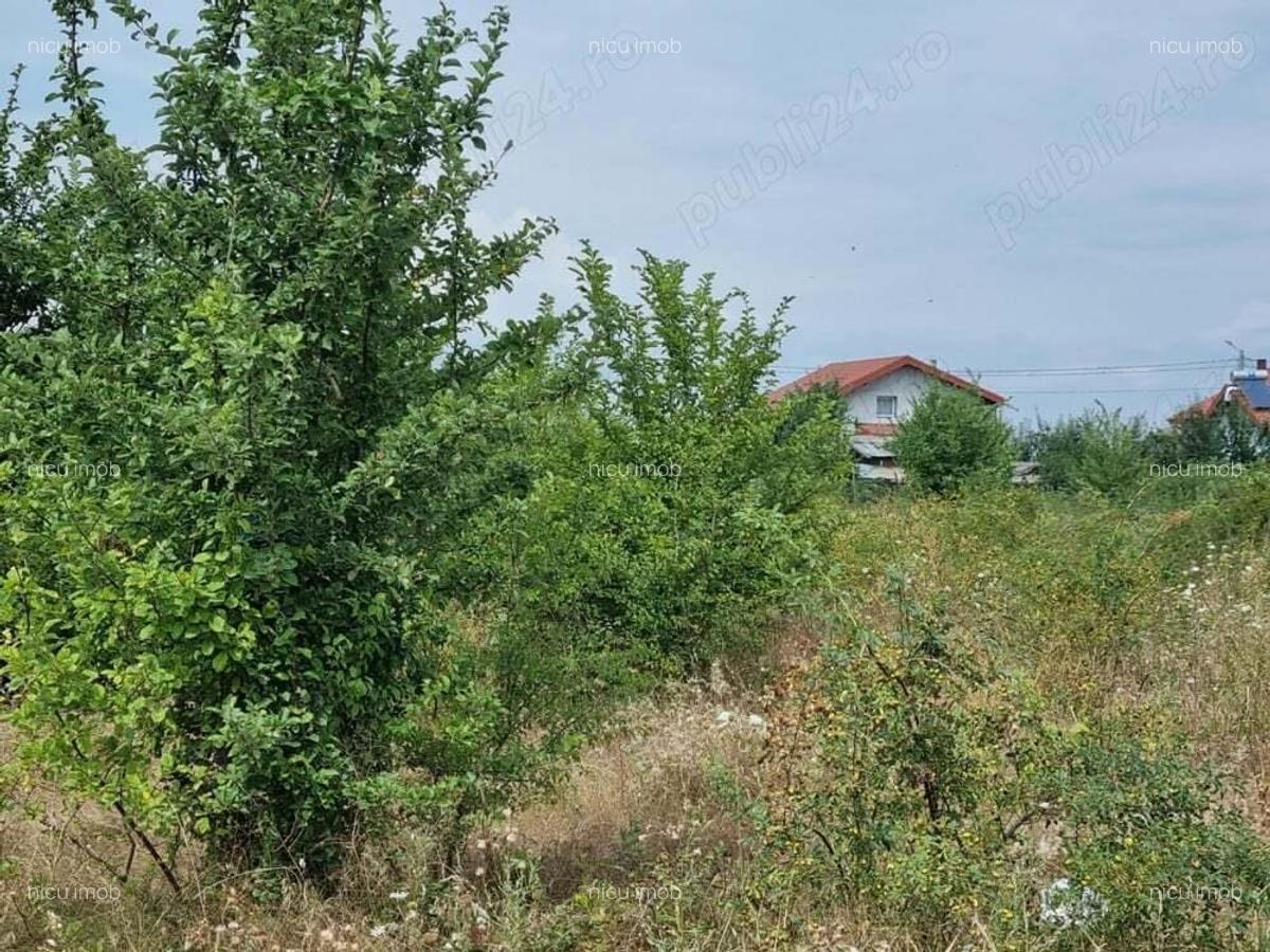 Vanzare Teren Rezidential 3500MP 1 Decembrie Ilfov - 10