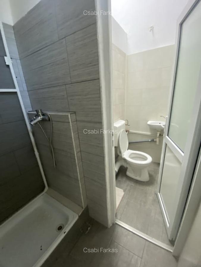 Spatiu comercial, 286mp, zona Calvaria - 11