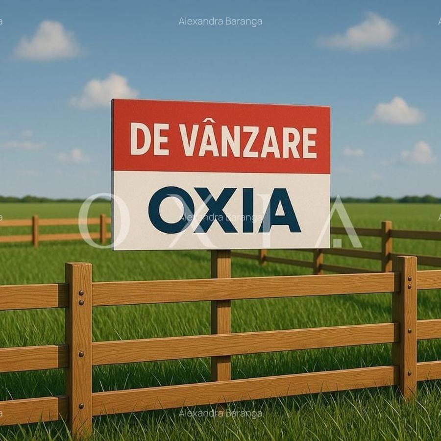AX1047 Zona Sagului-OMV, Teren Intravilan, Zona Industriala - 3