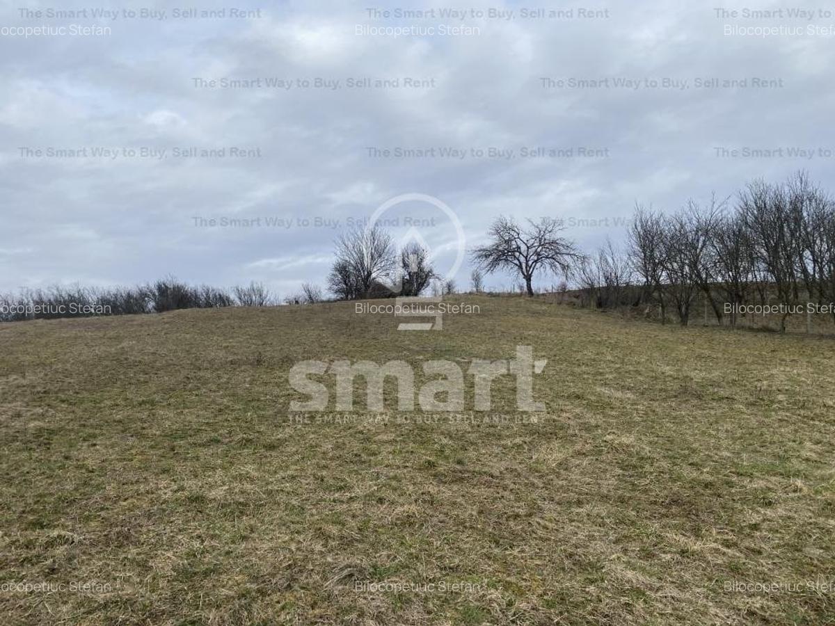 Teren intravilan cu CF 5400mp front 17 Savadisla jud Cluj - 10