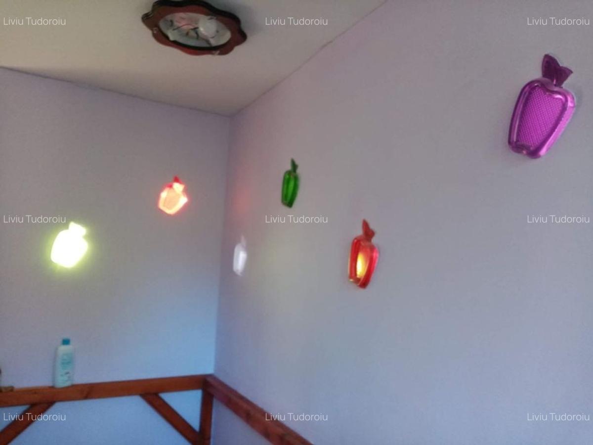 Casă de vânzare la liziera pădurii - Comuna Bogați, Argeș - 9