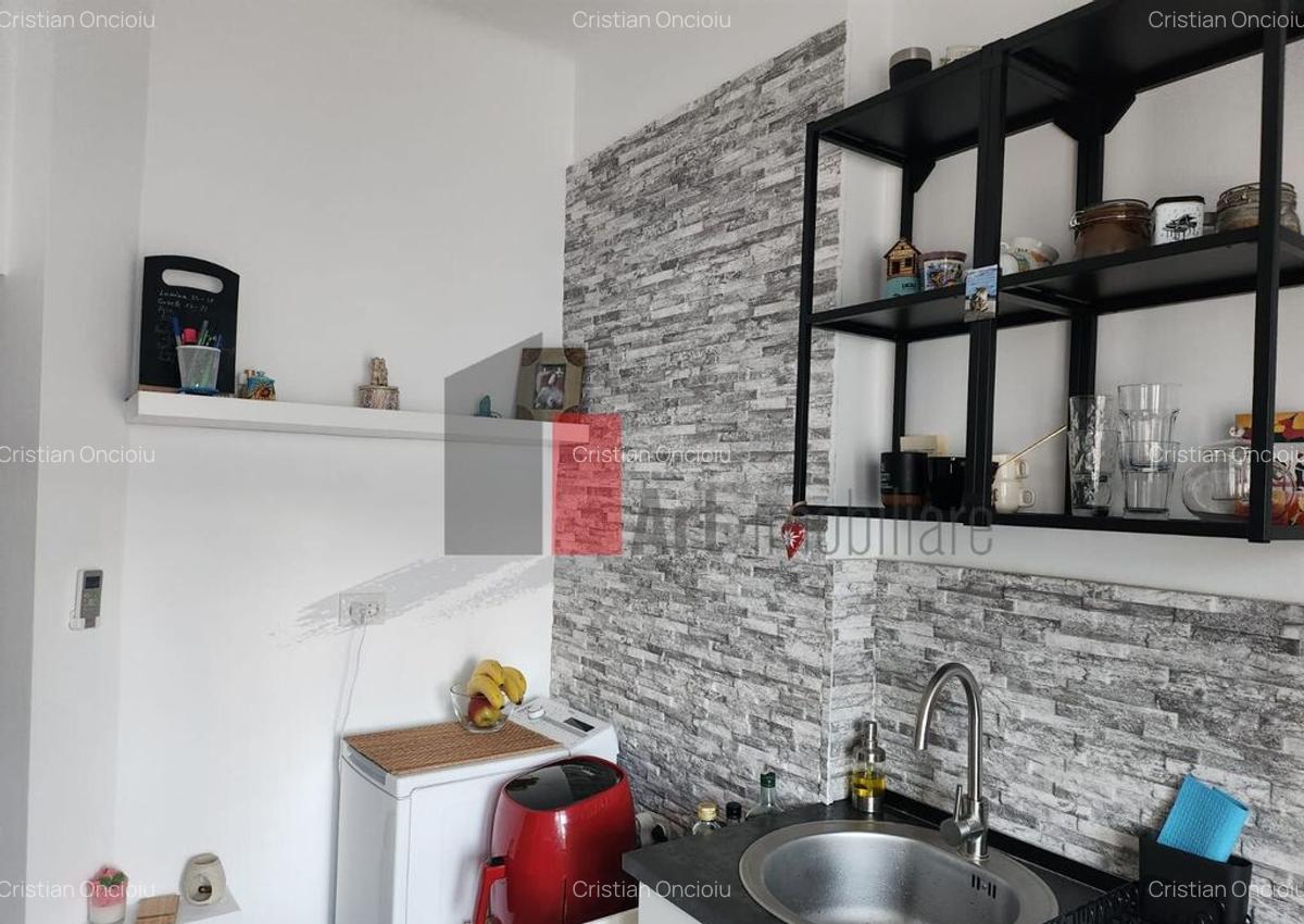Apartamentul AMIGABLE , et. 2 in vila - 3