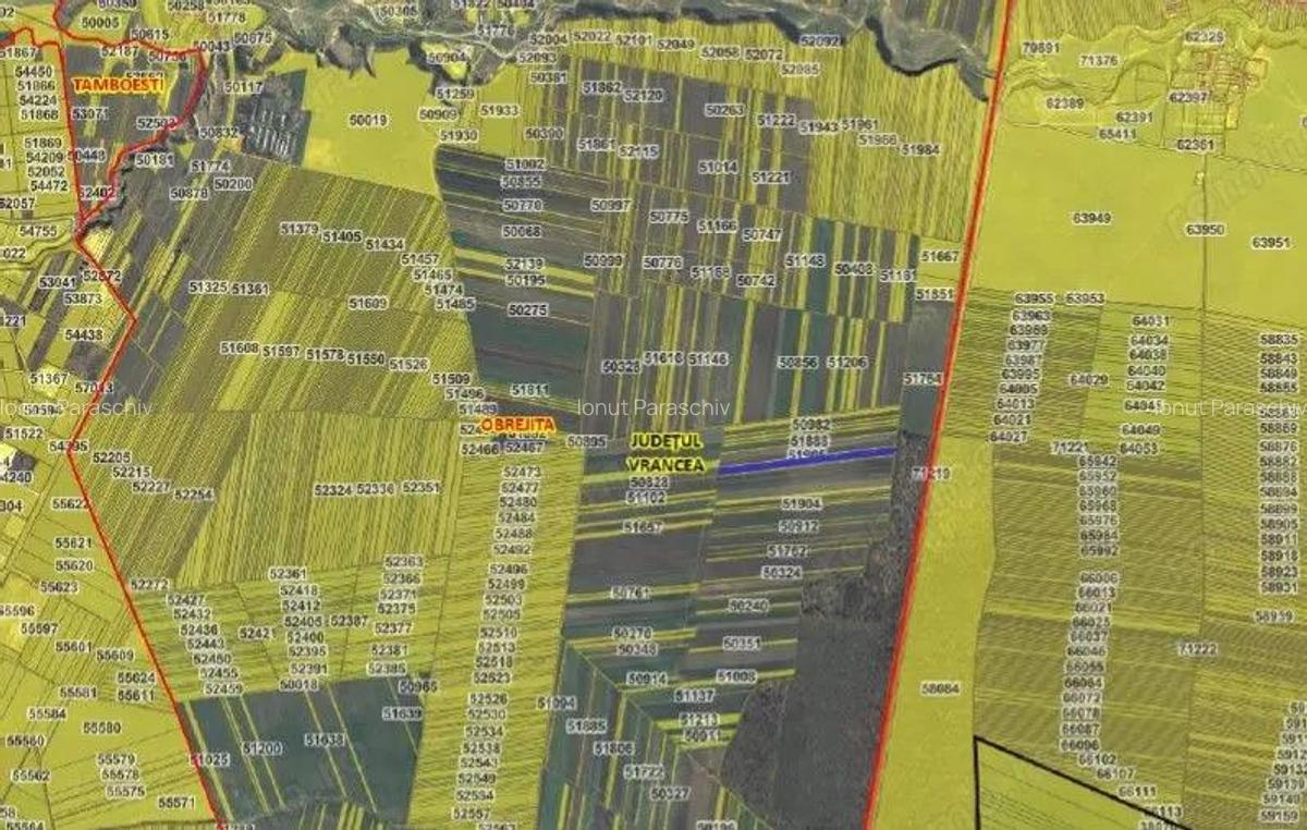 Teren extravilan Obrejita, ID: R2832813 - 2