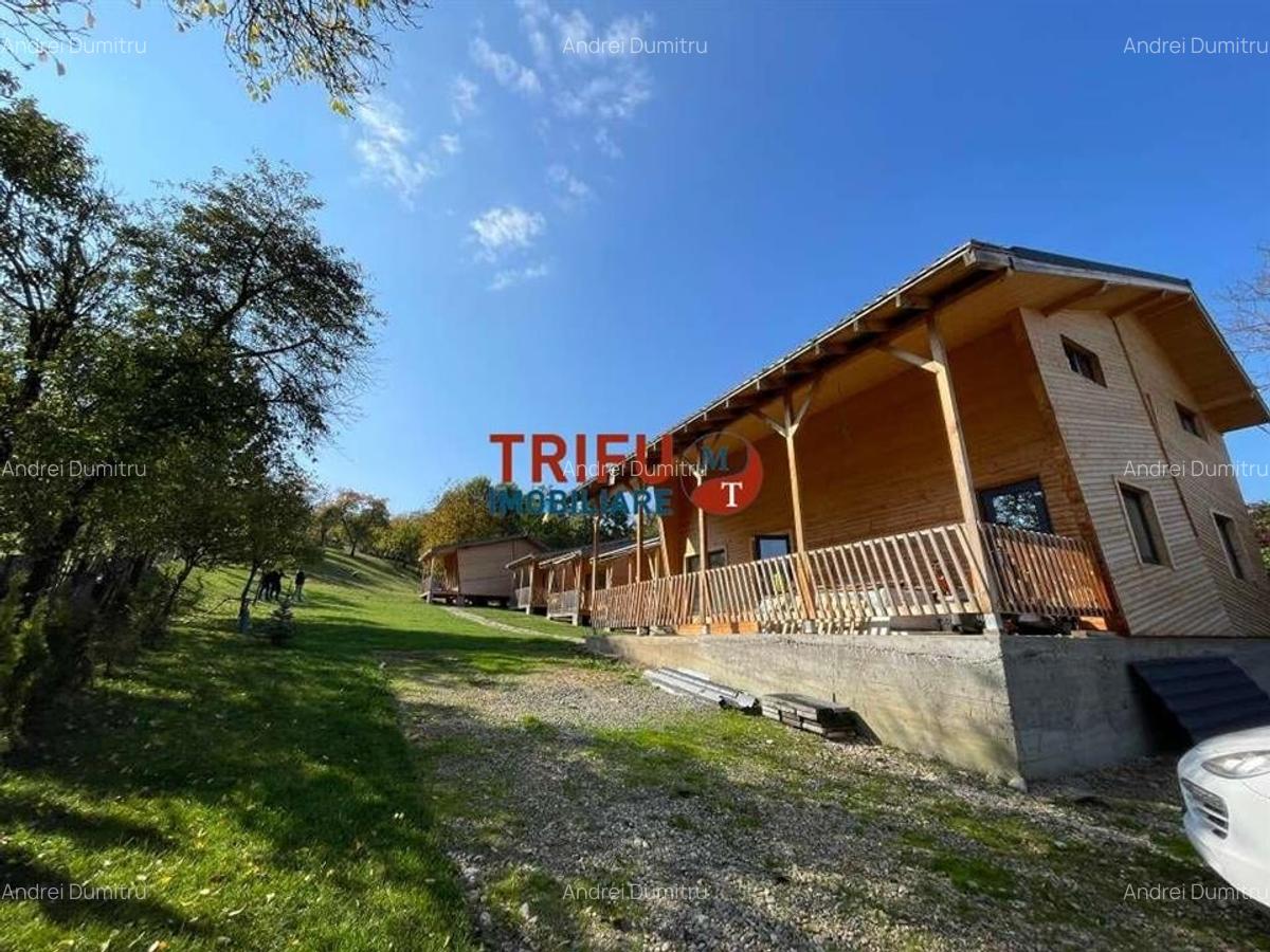Super Oferta Complex turistic cu 5 cabane de vânzare în comuna Pianu - 2