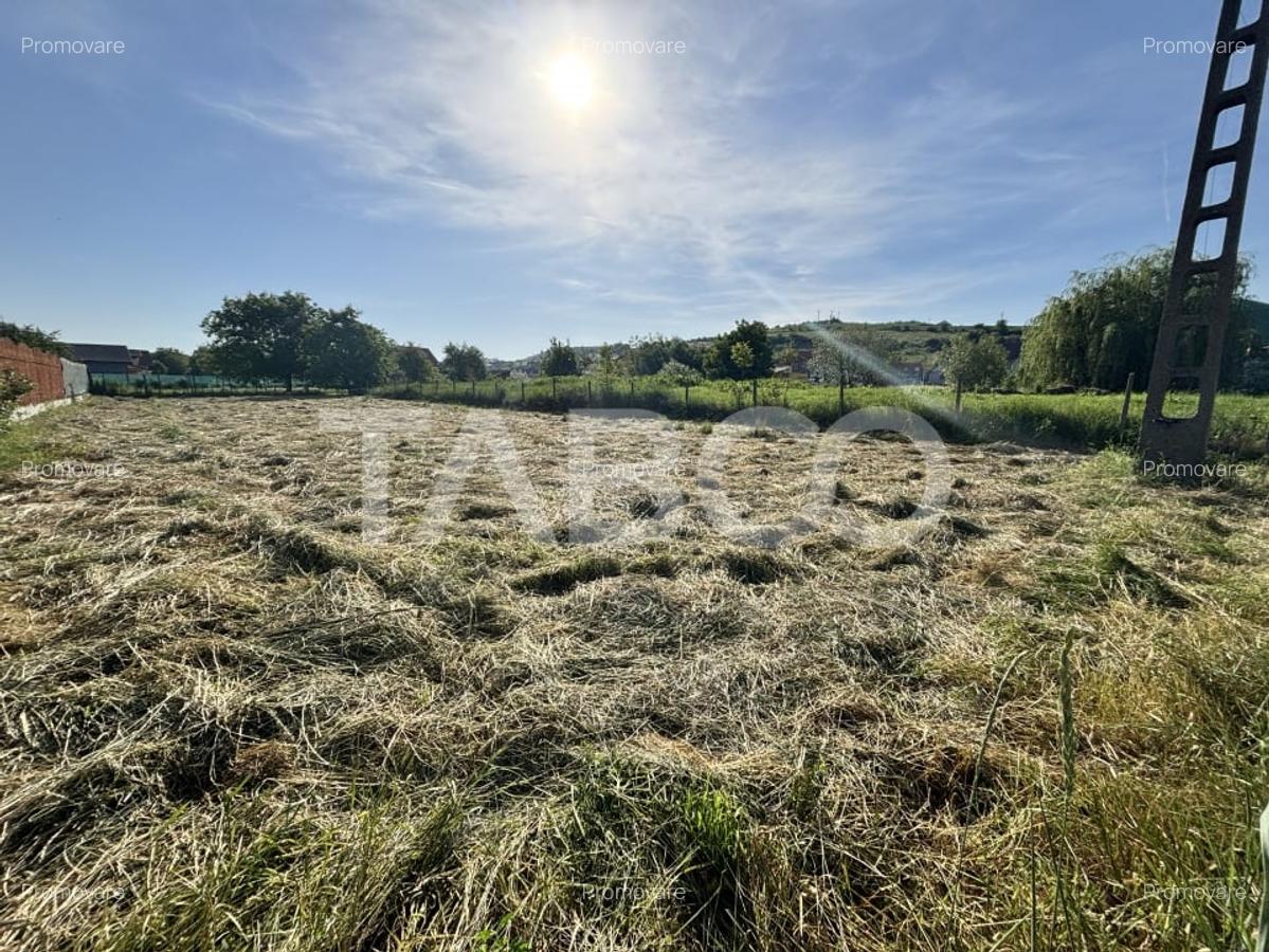 Teren de vanzare 1030mp intravilan Sura Mare zona deosebita - 1