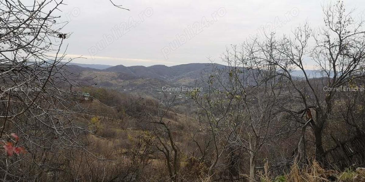 Casa de vanzare Salcia Prahova - 9