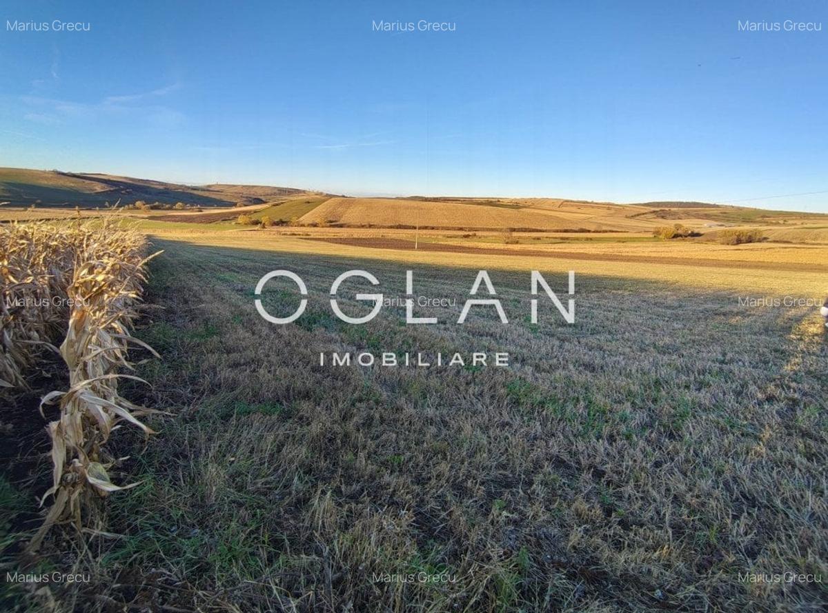 Teren intravilan cu PUZ pentru investitie - 26.100 mp - Sura Mare - 7