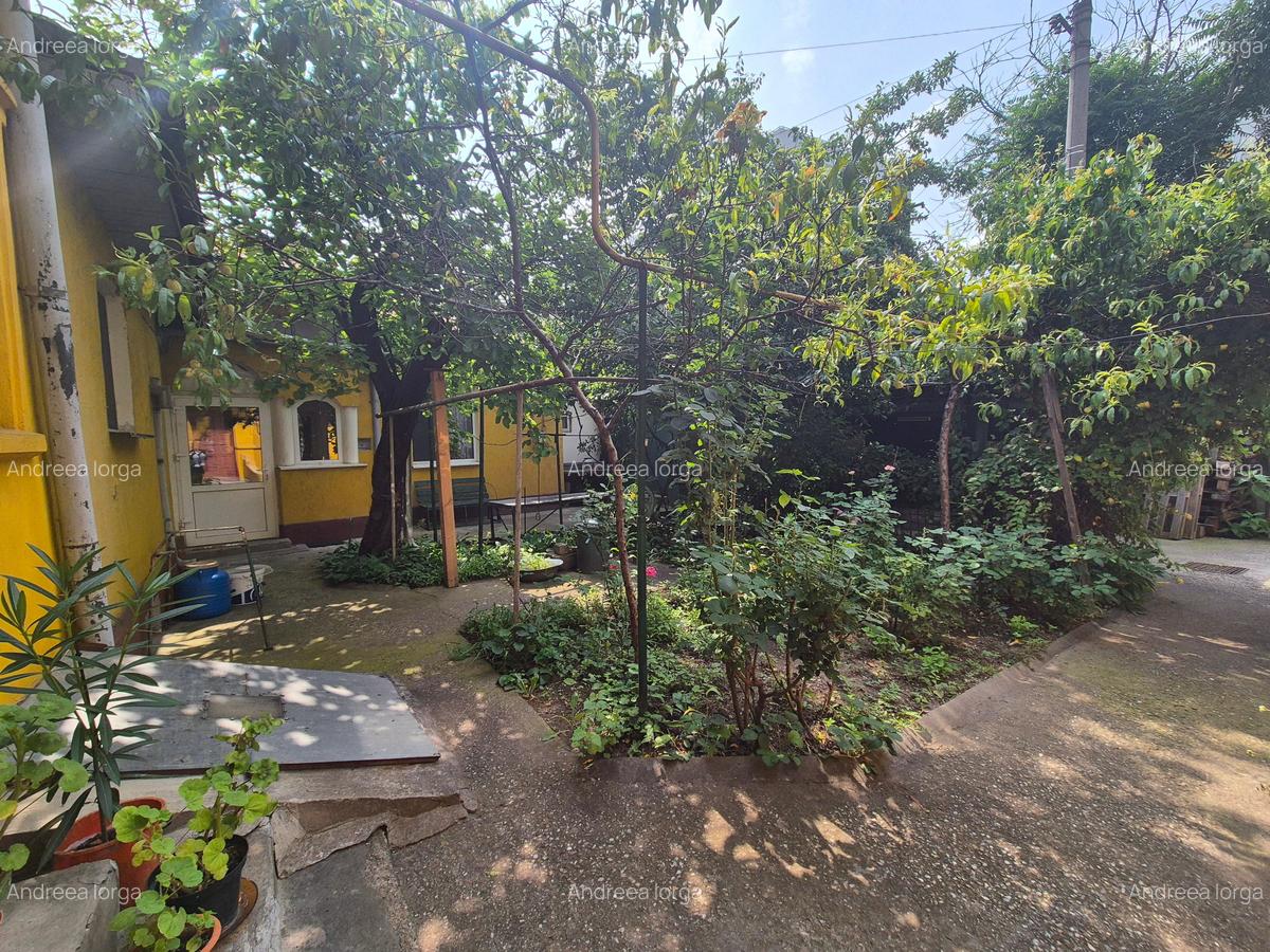 Rahova, Modoran Ene, Buzoieni - 10