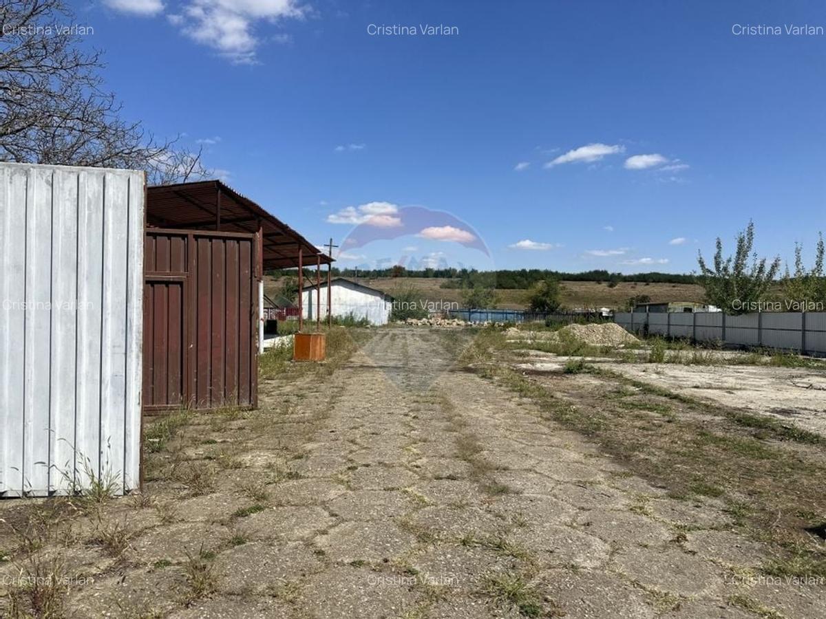 Spatiu industrial hale depozitare si productie - 1