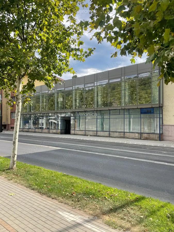 Spatiu comercial de inchiriat - 2