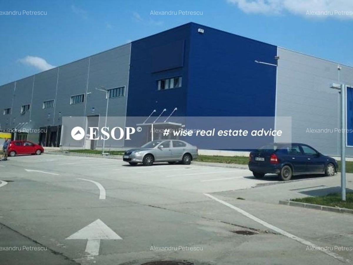 Logicor Mogosoaia - Hale / Spatii Depozitare / Logistice, 0% comision - 1