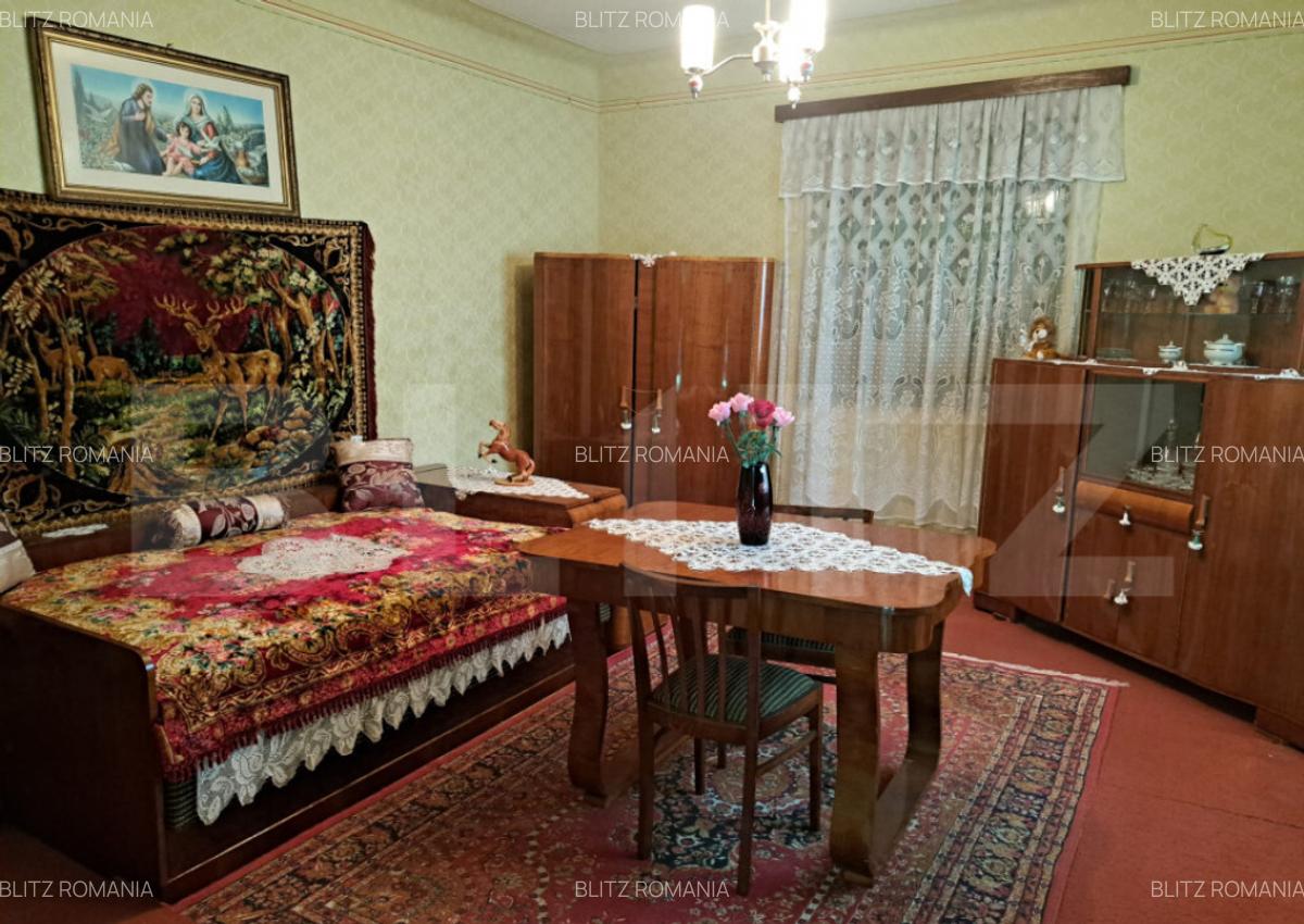 Casa individuala de vanzare in satul Zizin, jude?ul Bra - 9