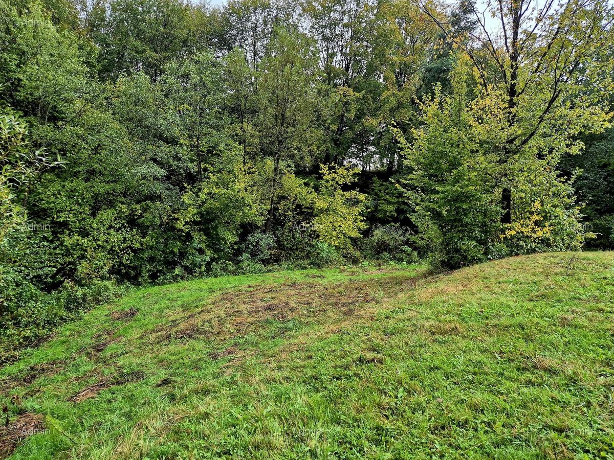 Comision 0%, teren extravilan 12497 mp Sinca Noua - 15