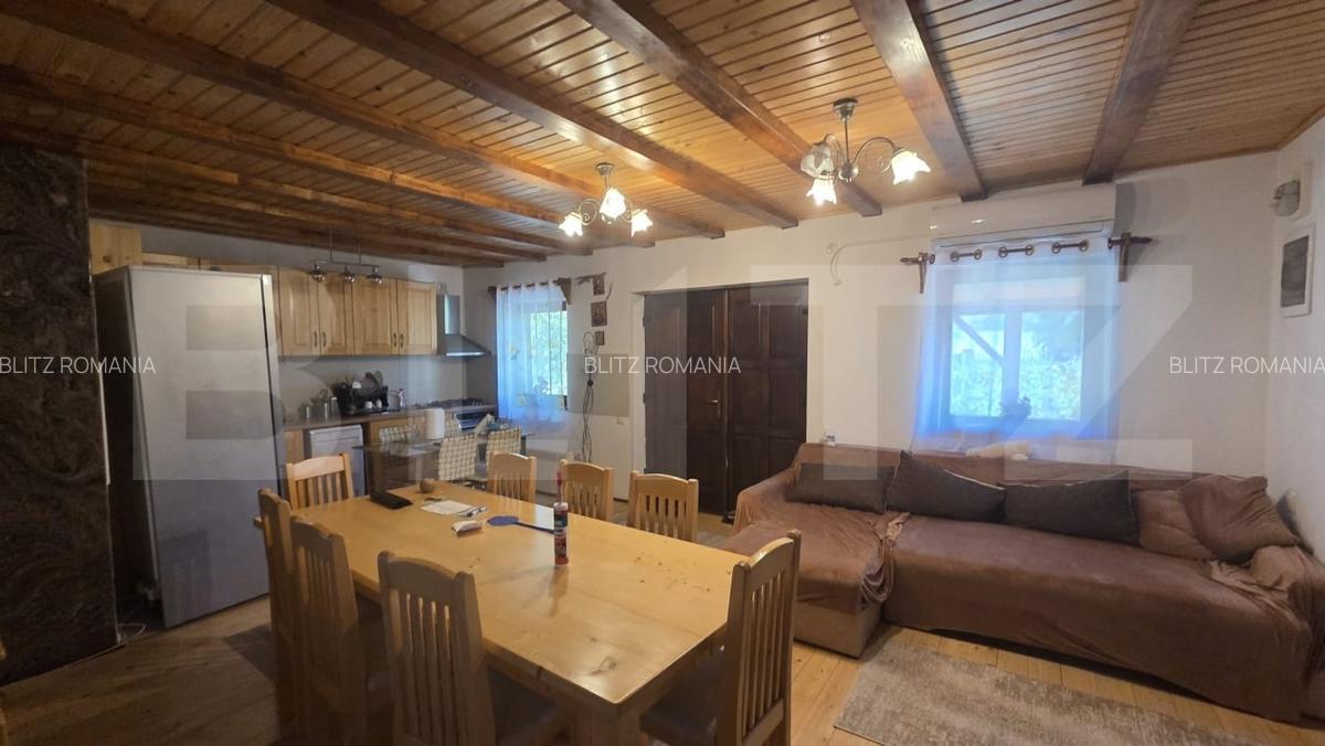 Casa de vacanca cu potential turistic, 1603 mp teren, Cernatesti - 3