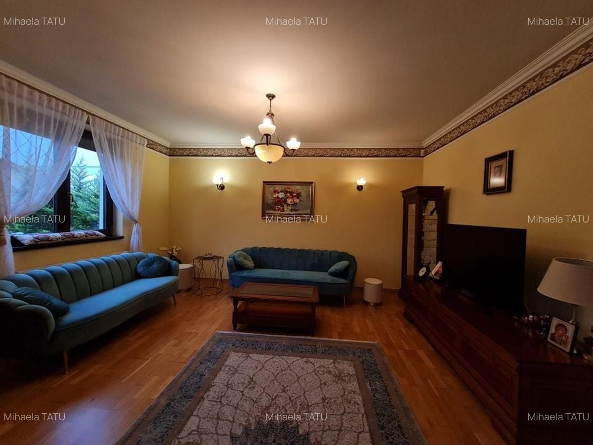 Poziție de top în Dumbravita - 20