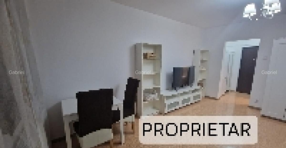 Proprietar - Garsoniera Drumul Taberei, Hanul Drumetului - 3