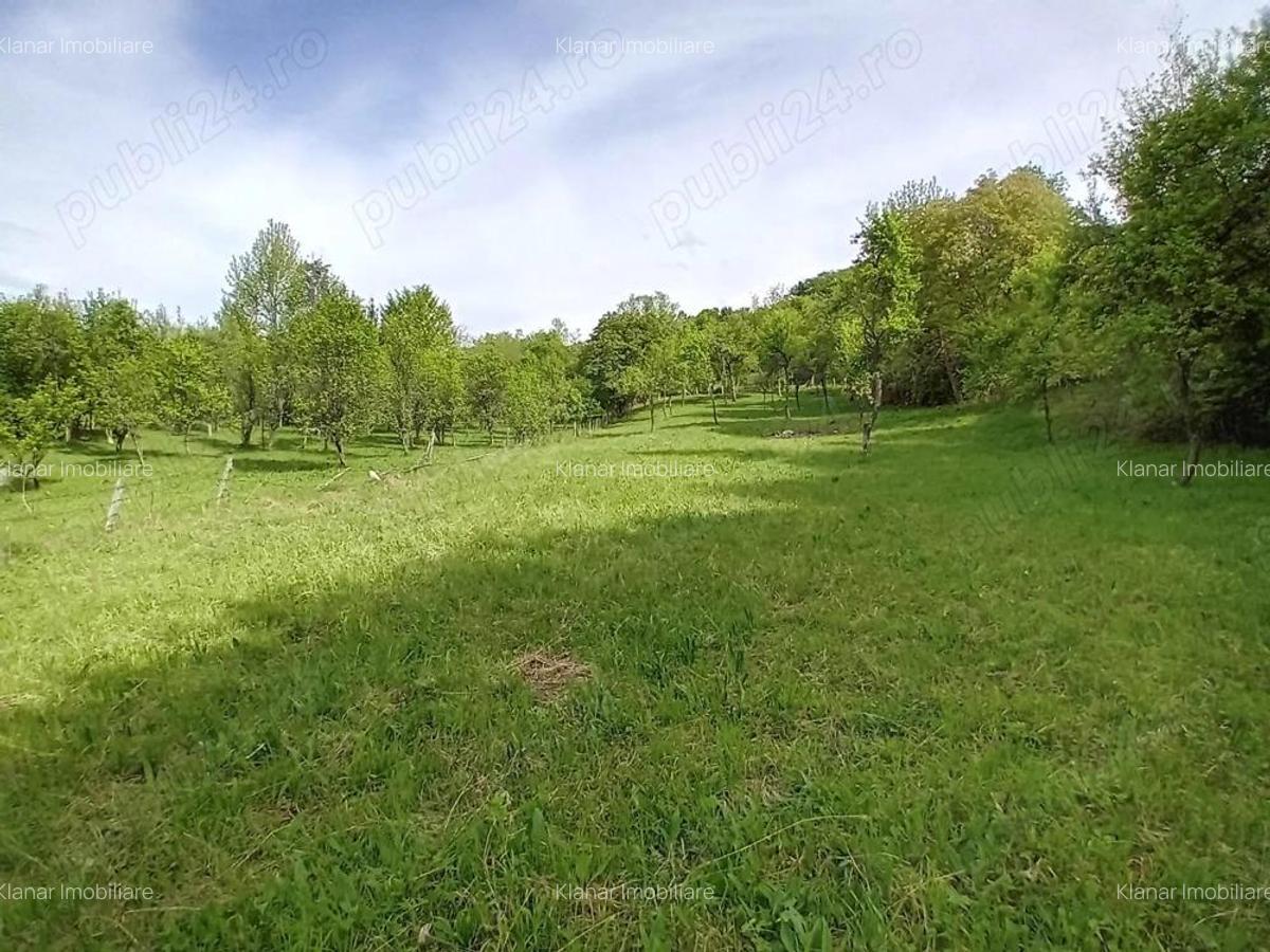 Teren de vanzare in Bradulet Arges - 5
