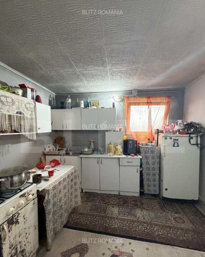 Teren intravilan agricol, sere, anexa agricola, 11500 mp ter - 1