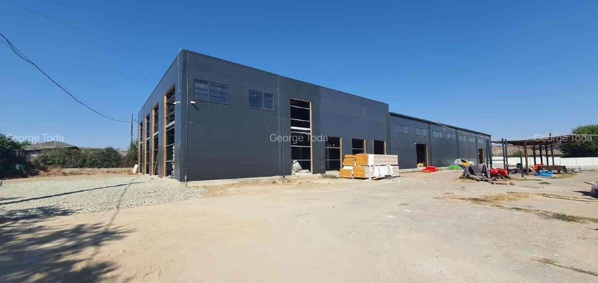 Hala moderna cu ISU, nod A4 Ovidiu 1600m2 - 3 Hala moderna cu ISU, nod A4 Ovidiu 1600m2 - 3