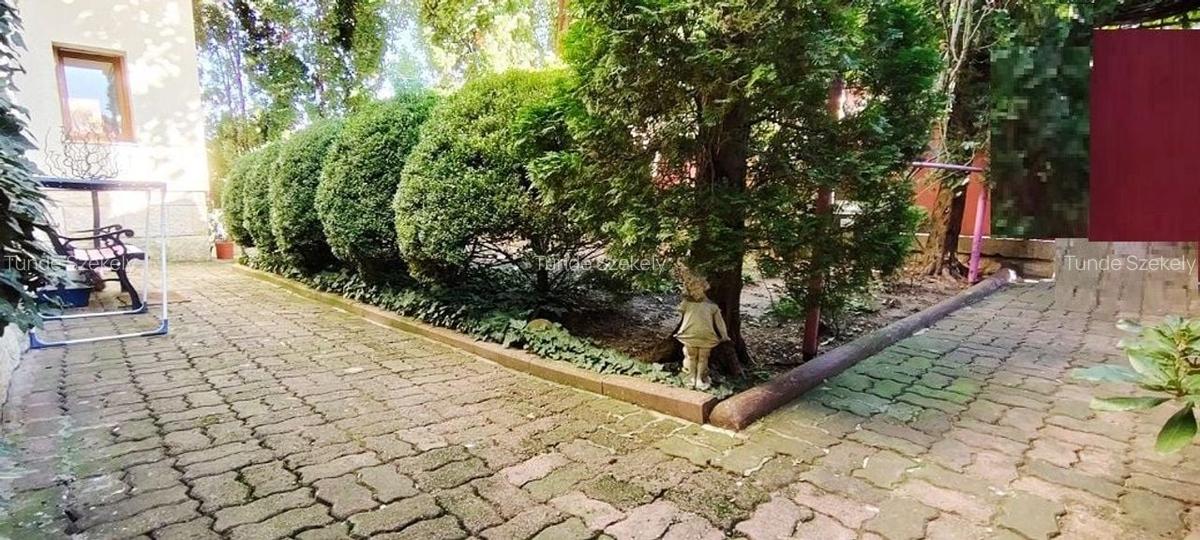 Apartament rustic, deosebit de 98 mp,  cu gradina, in Andrei Muresanu - 18