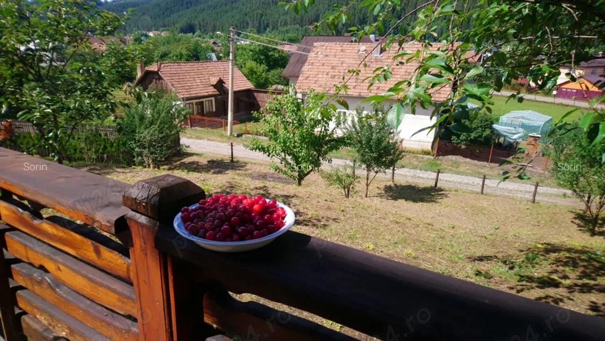 Casa de vanzare Campulung Moldovenesc - 6