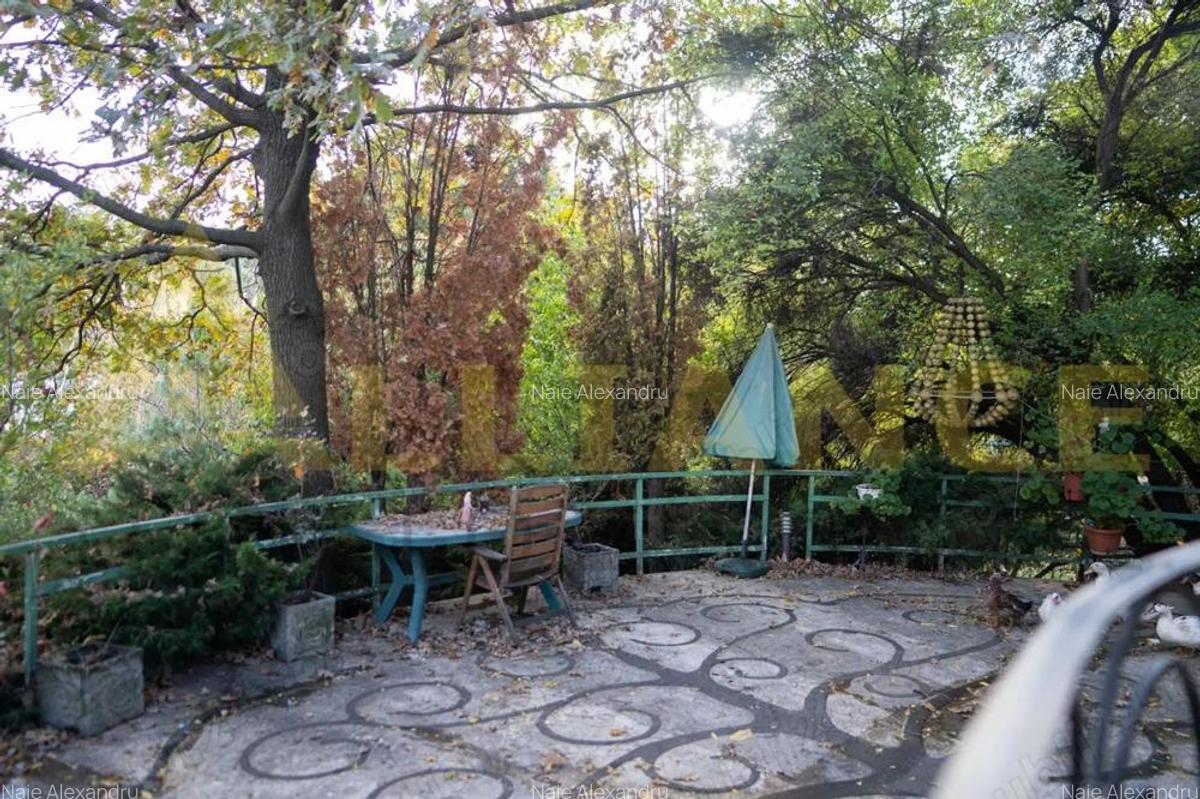 VILA TA LA LAC! Proprietate exclusivista Snagov cu ponton 1.800 mp teren - 11