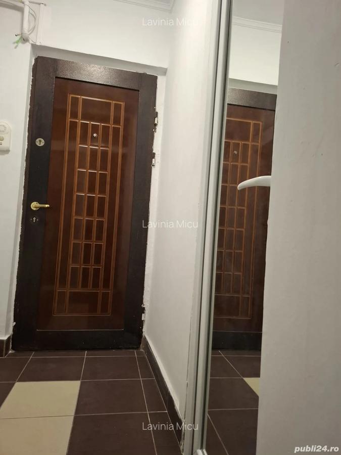 Garsonira curata - 3