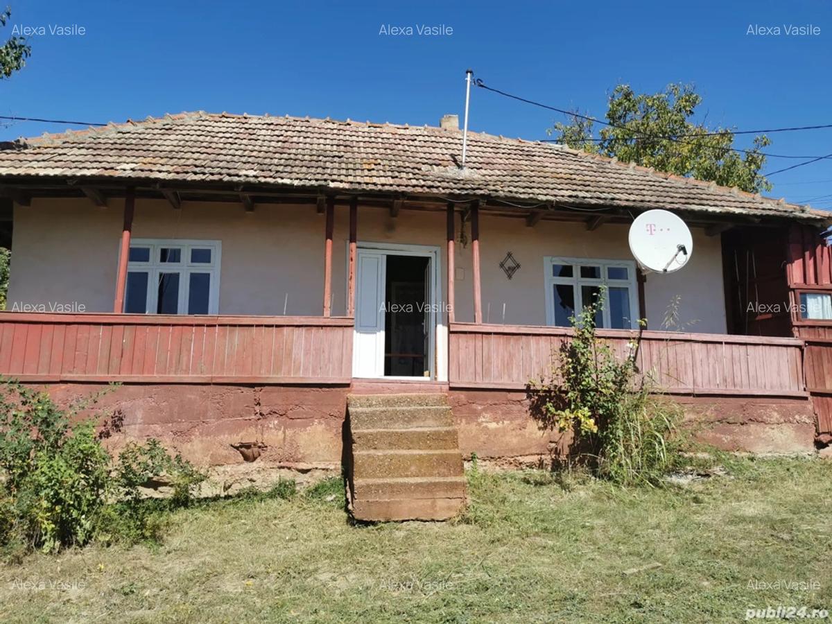 Vand casa batraneasca - 4