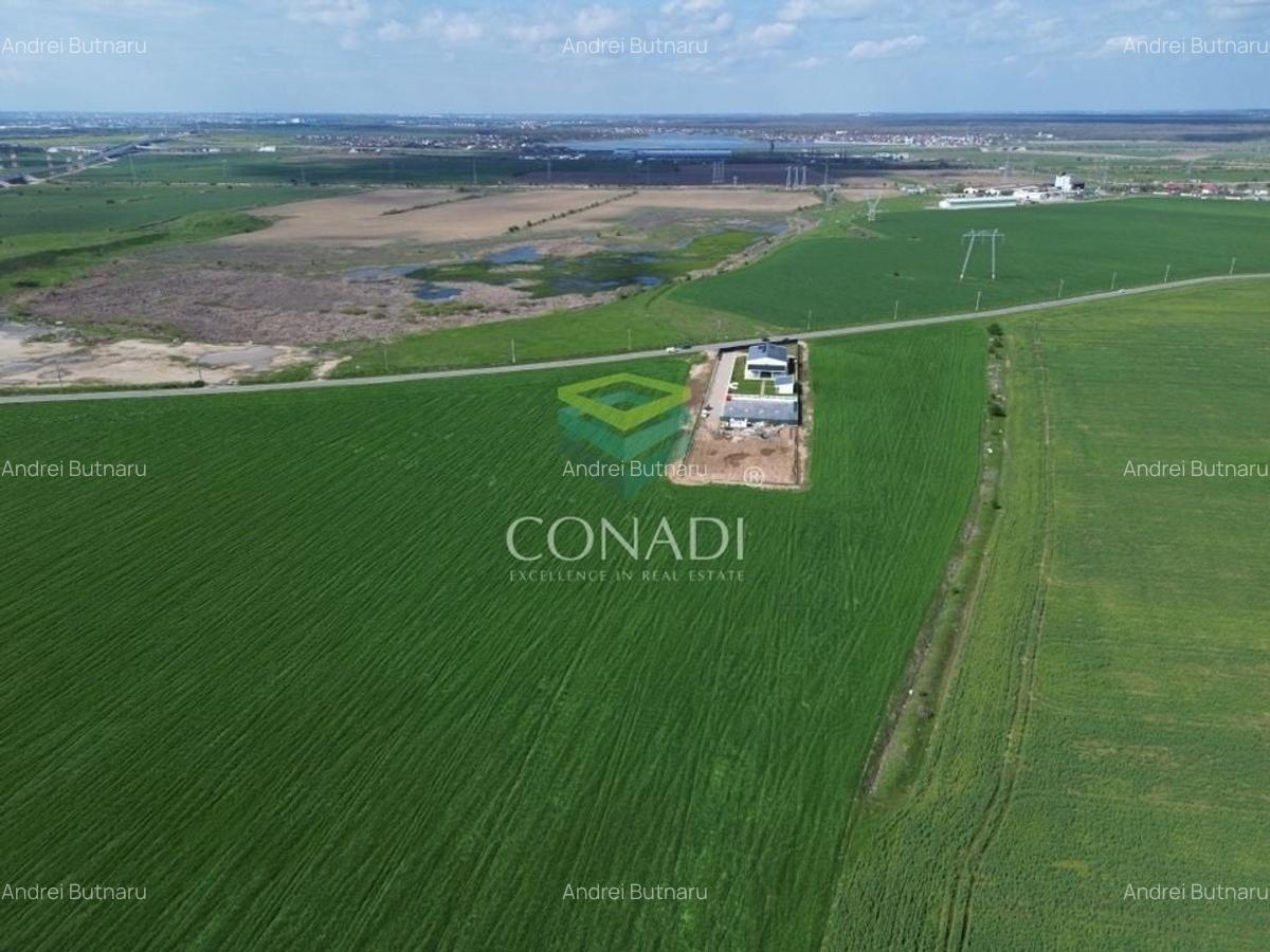 Teren pretabil pentru industrial - Cernica - 1 Ha - 5