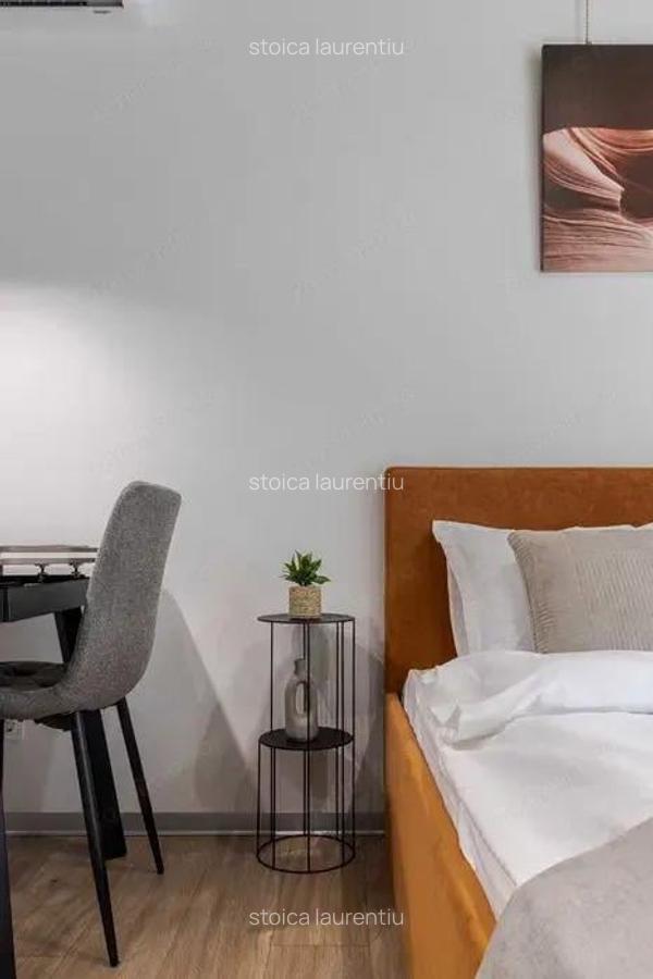 Garsoniera zona Grozavesti - 10