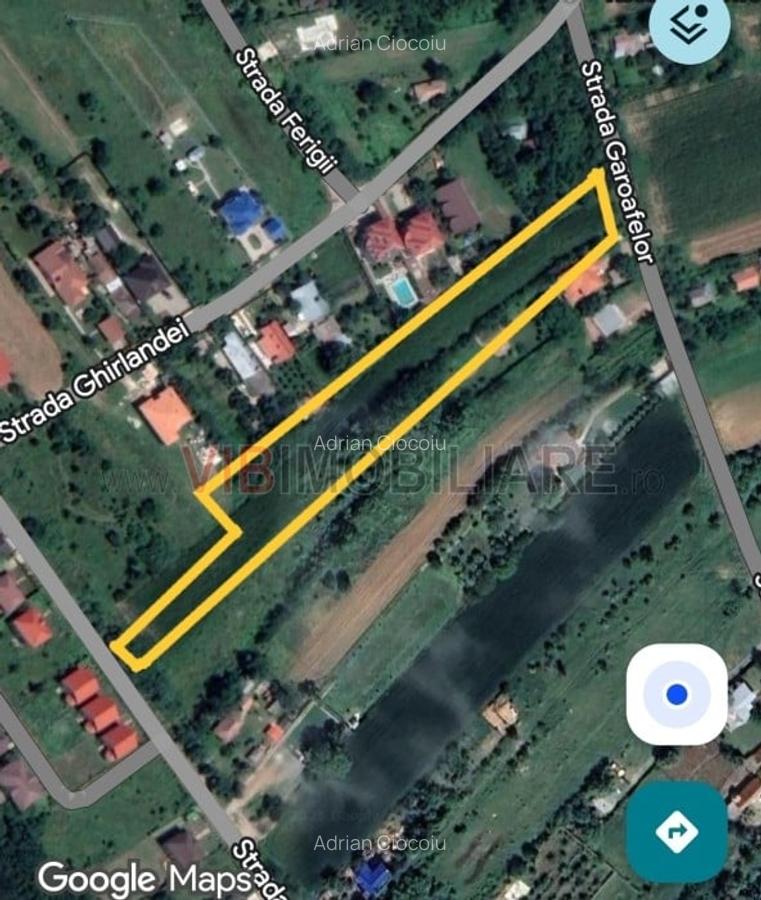 Teren Gruiu - 4972 - intravilan - doua deschideri - 1