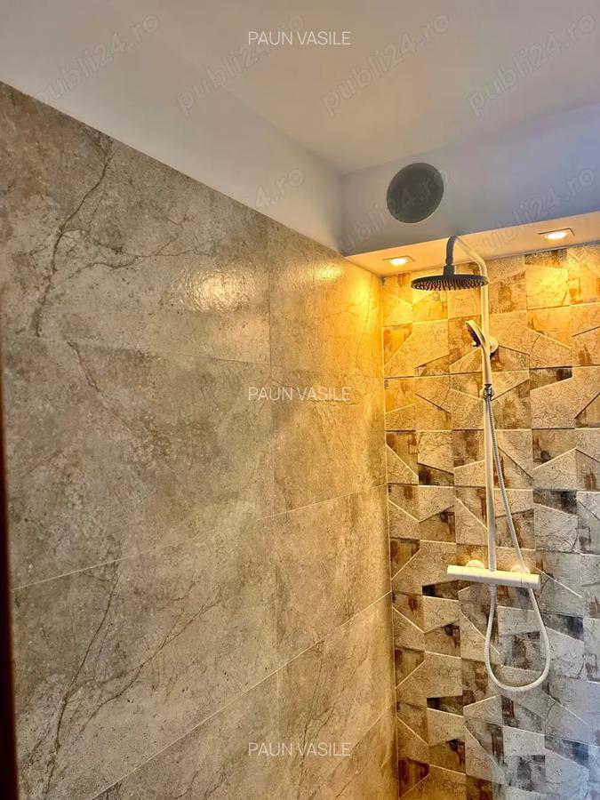Apartament 2 camere etaj 1 Hala Tribunal pretabil cabinete, birouri - 3