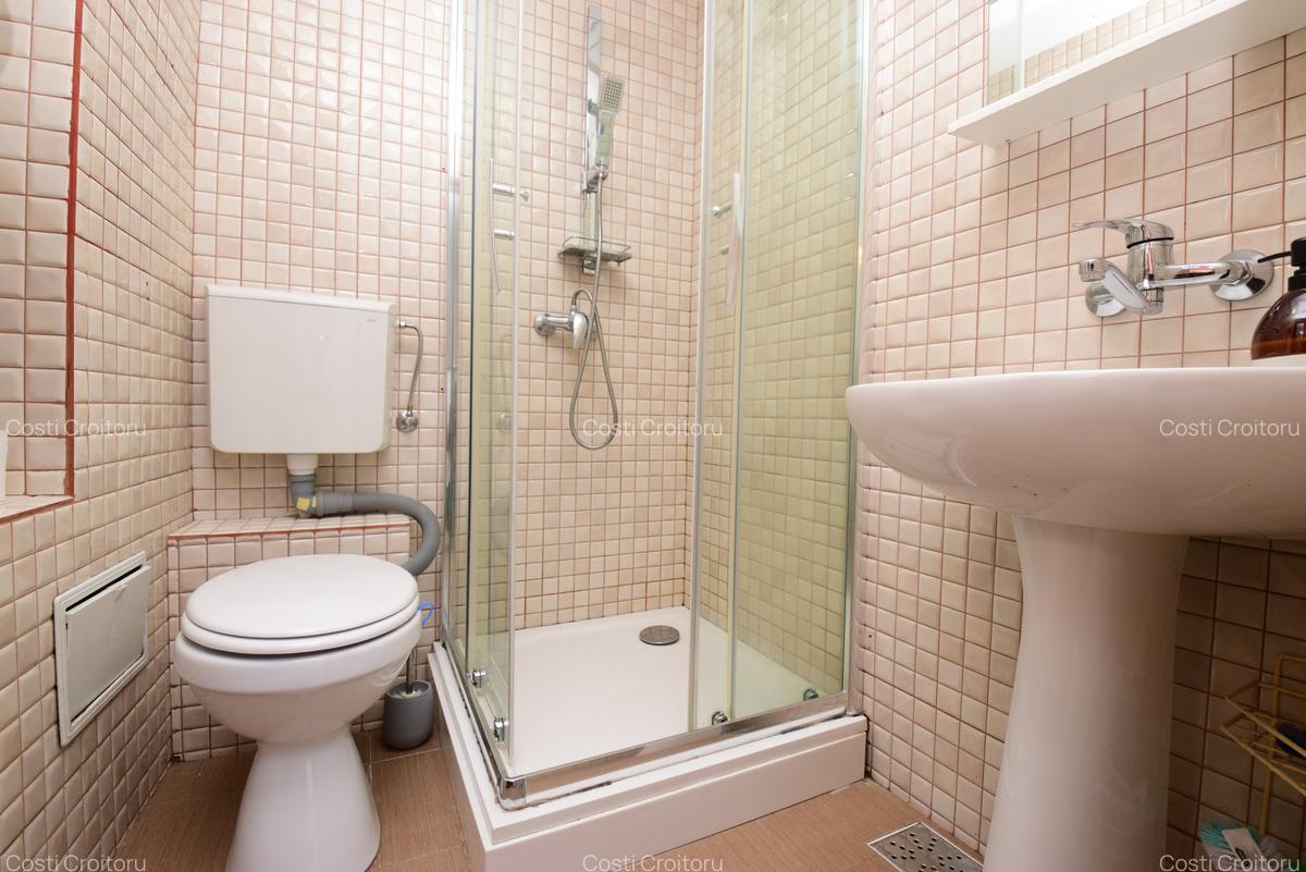 Garsonieră mobilată, Iacob Felix - Piața Victoriei - 10