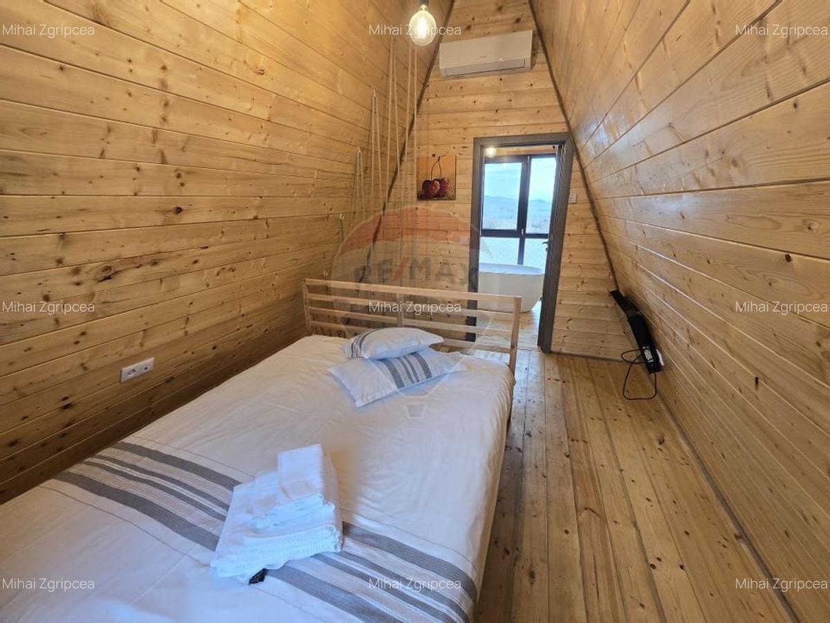 Proprietate Speciala in Gura Raului, Sibiu - Doua Cabane A-Frame - 5