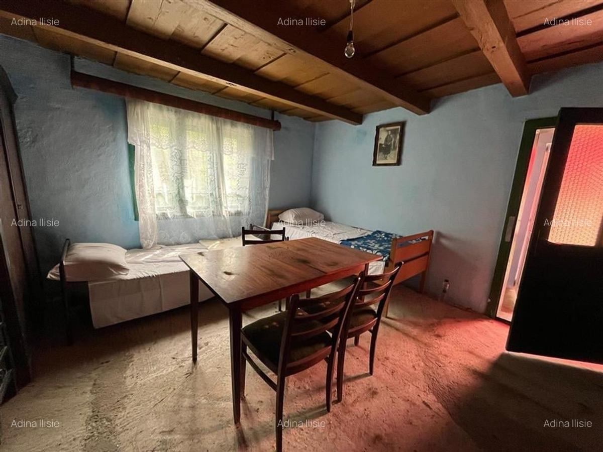 RECO Casa batraneasca cu teren generos la Lupoaia -Holod - 7