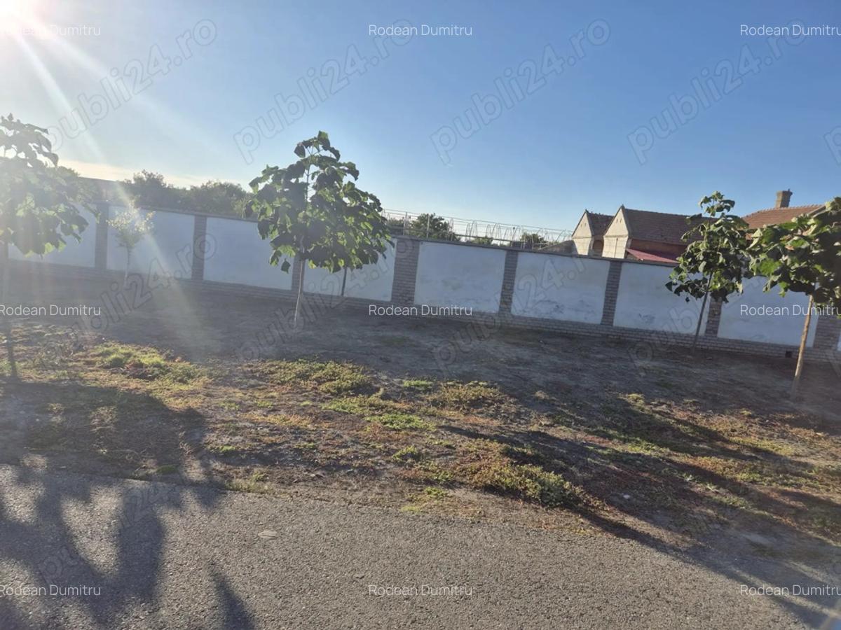 Casa cu teren generos de vanzare, Varia?, jud.Timi? - 3