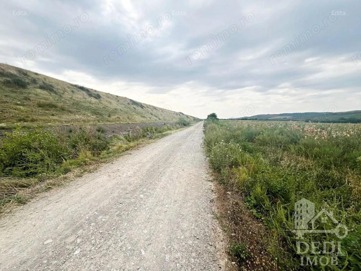 Teren extravilan Lugasu de jos, Bihor - 2