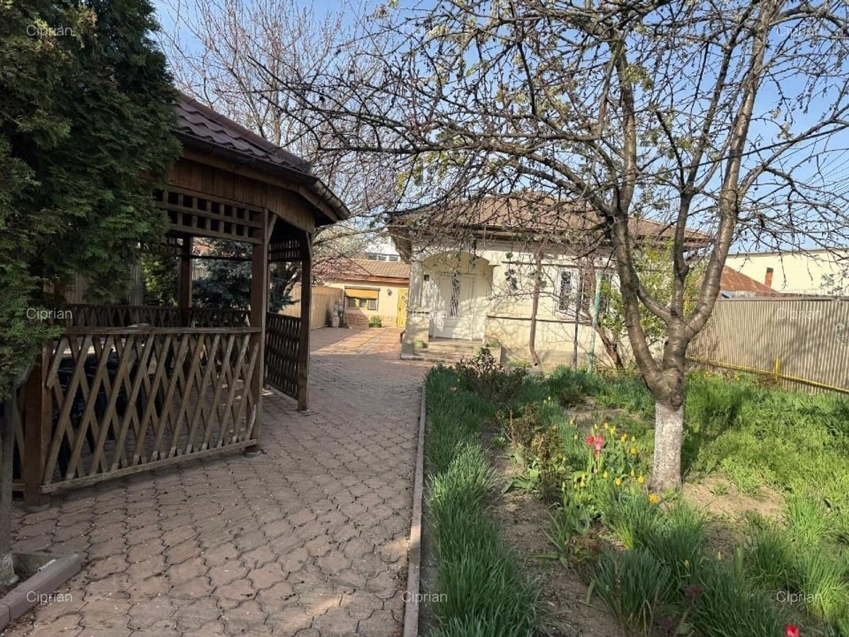 Casa+teren  Serbanesti - 3