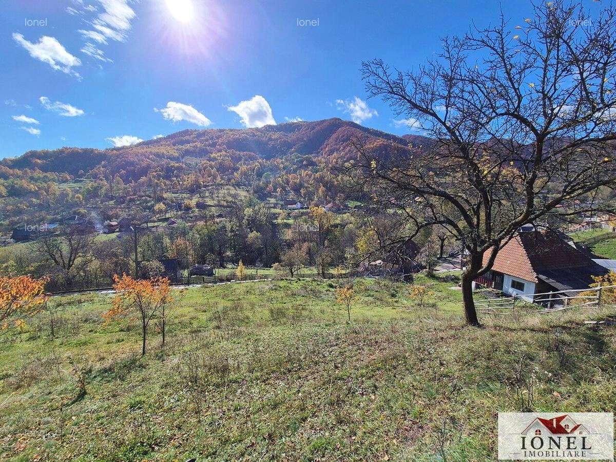 Casa de vanzare in Trampoiele (Zlatna) - 9