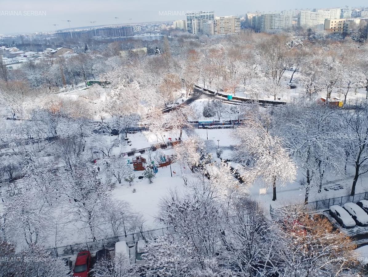 Apartament cu 3 camere decomandat în Doamna Ghica - 19