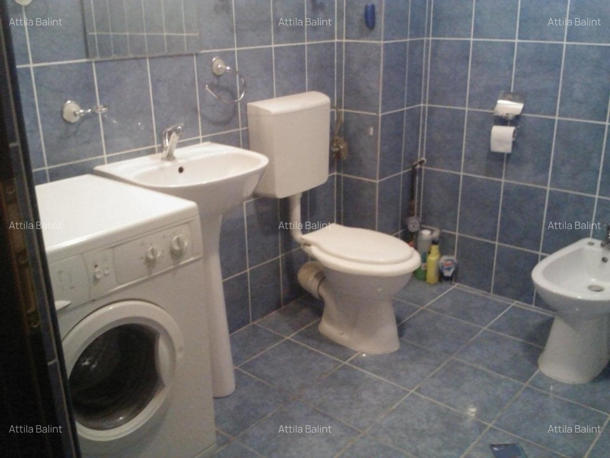 Lipovei- Pizzeria Thalia 2 cam 350 euro - 10