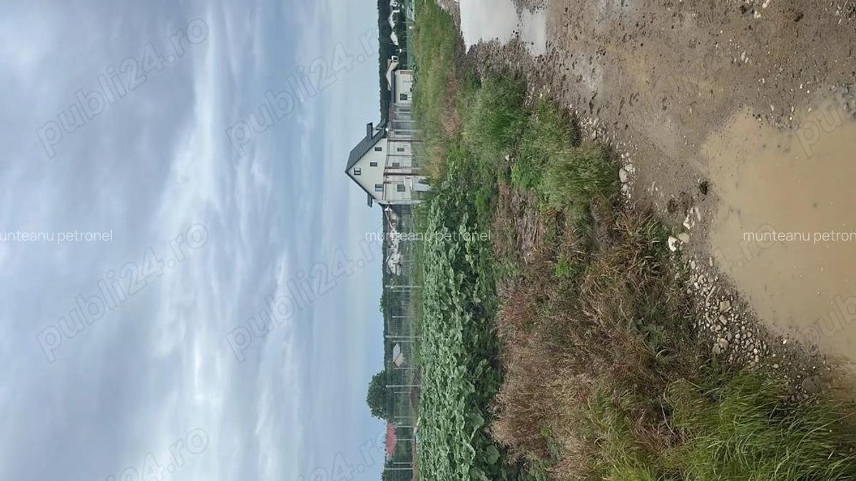 Vanzare teren casa la padure Moara Vlasiei - 1