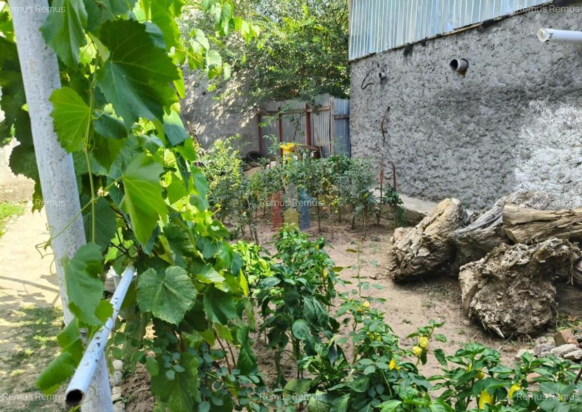 Casa 4 camere, Radu Negru, Teren - 264 mp - 12