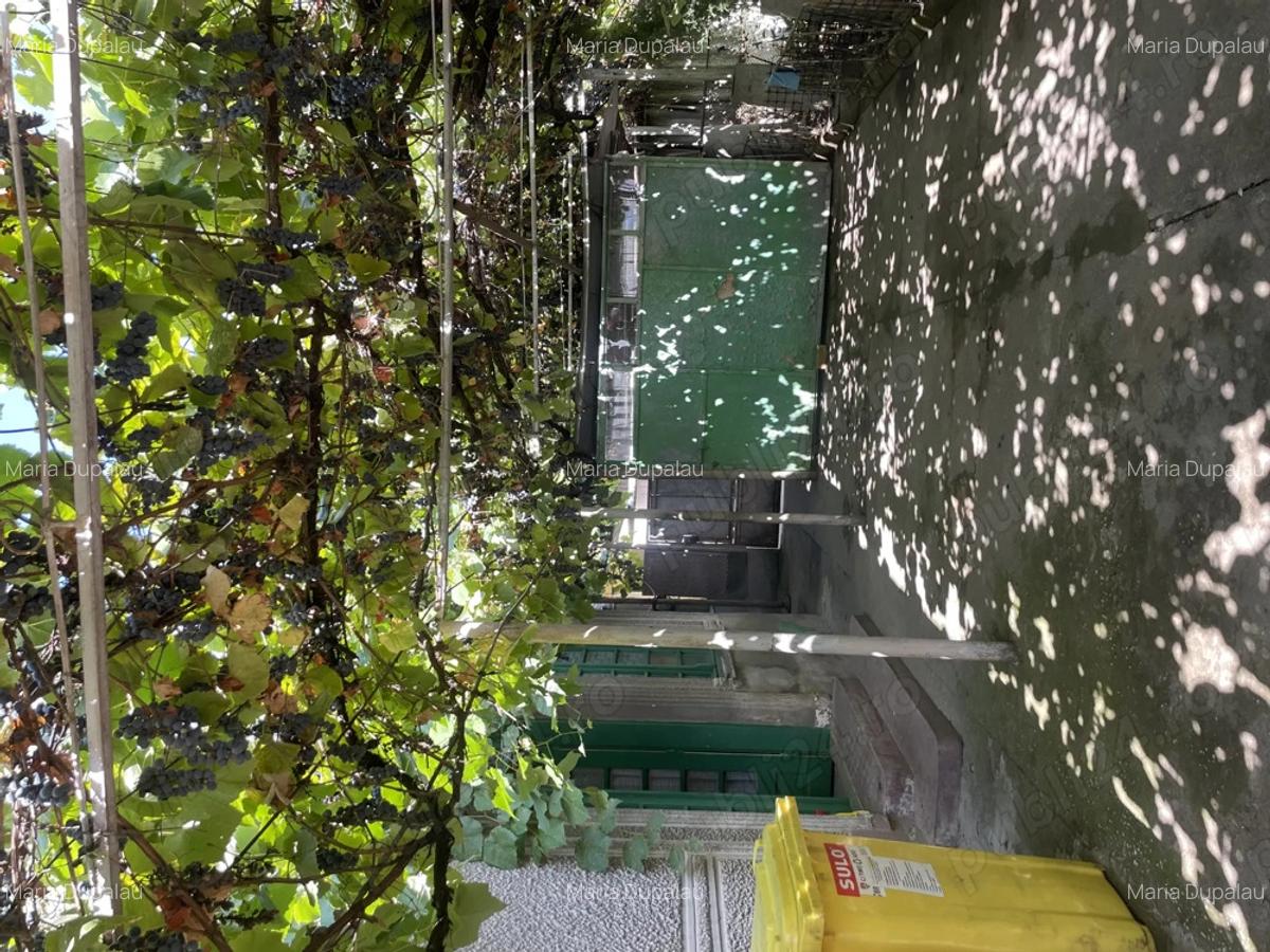 Casa de vanzare in Sannicolaul Mare - 2