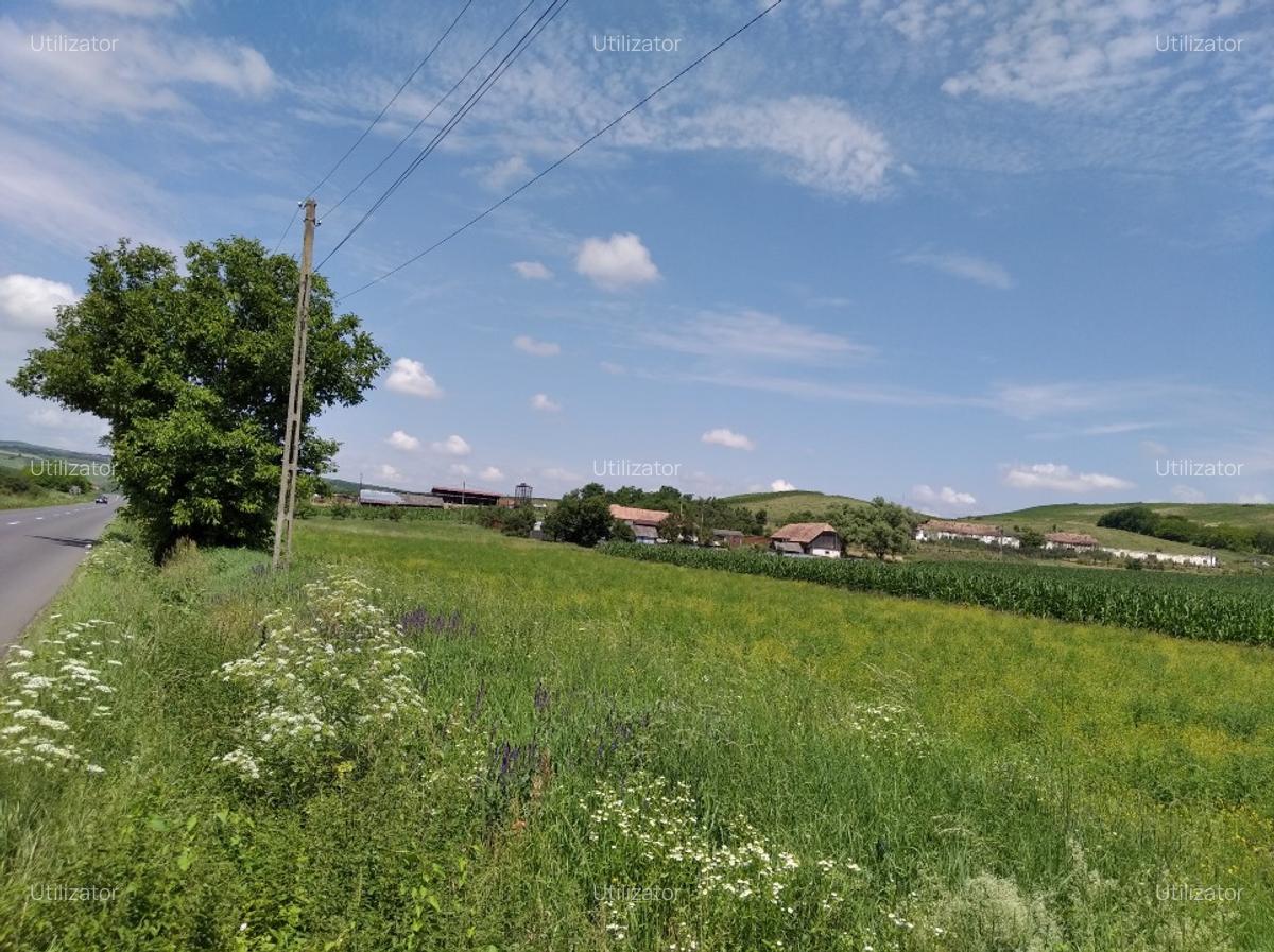 TEREN INTRAVILAN EXCEPTIONAL 6.600 MP LA MARGINEA SOSELEI ASFALTATE - IEFTIN ! - 4