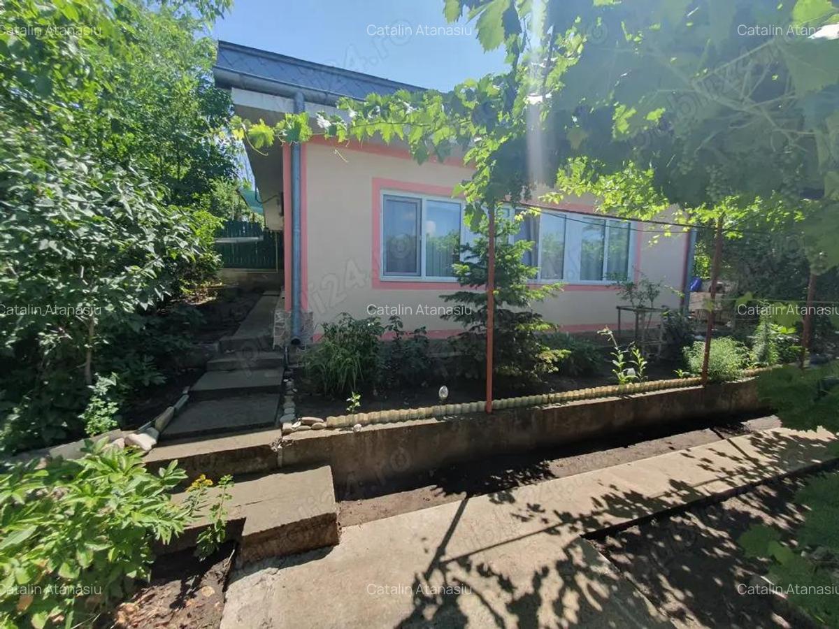 Casa Schela judet Galati - 3