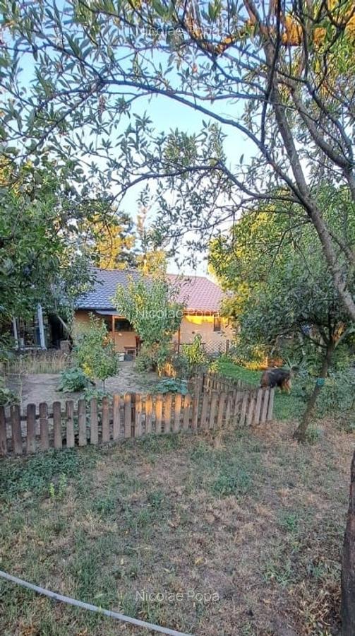 Gospodarie (casa si teren) com. Gura Vadului, Prahova - 11