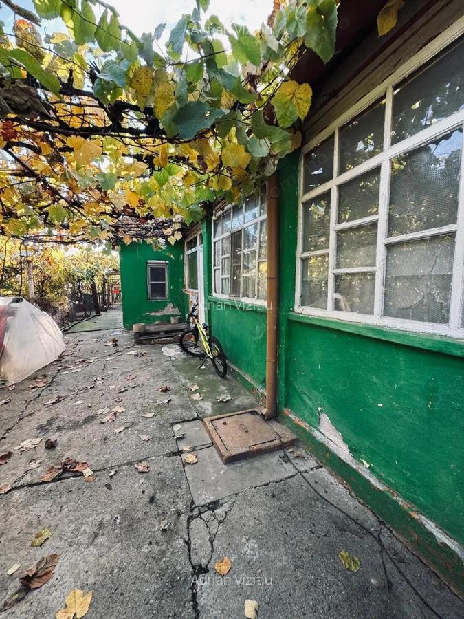 AV661 CHIRIE- Casa individuala, pe parter, Pischia, zona linistita - 19