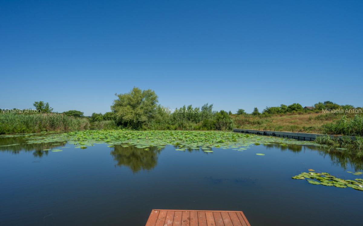 Izvorani, Delta Snagov, Tiny House, Loc ponton, Comision 0 % - 1